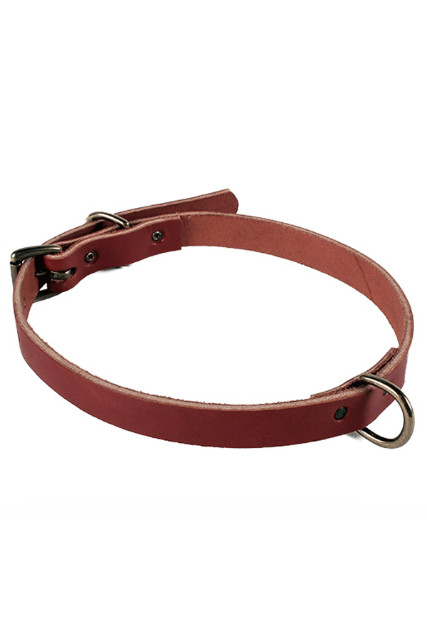 Union Wood Co. Dog Collar - Brown Union Wood Co. Dog Collar - Brown