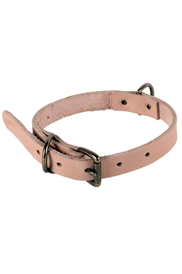 Union Wood Co. Dog Collar - Natural Union Wood Co. Dog Collar - Natural