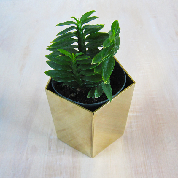 solid brass geometric planter solid brass geometric planter