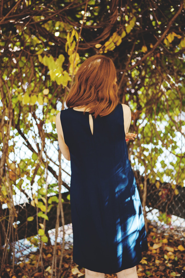 Birds of North America Trumpeter Dress (Navy) Birds of North America Trumpeter Dress (Navy)