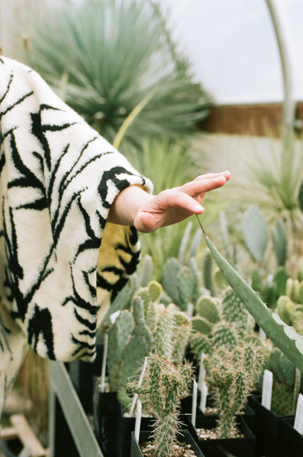 Birdy poncho Birdy poncho