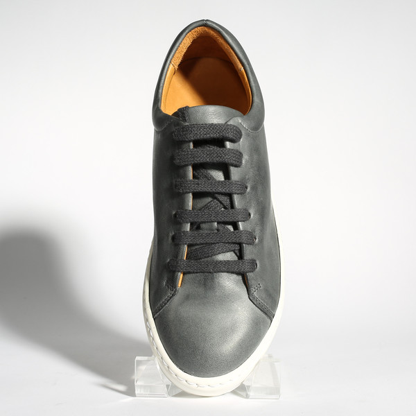 Jak Royal Gray Jak Royal Gray