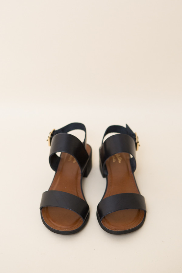 Seychelles Cassiopeia Sandal / Black Leather Seychelles Cassiopeia Sandal / Black Leather