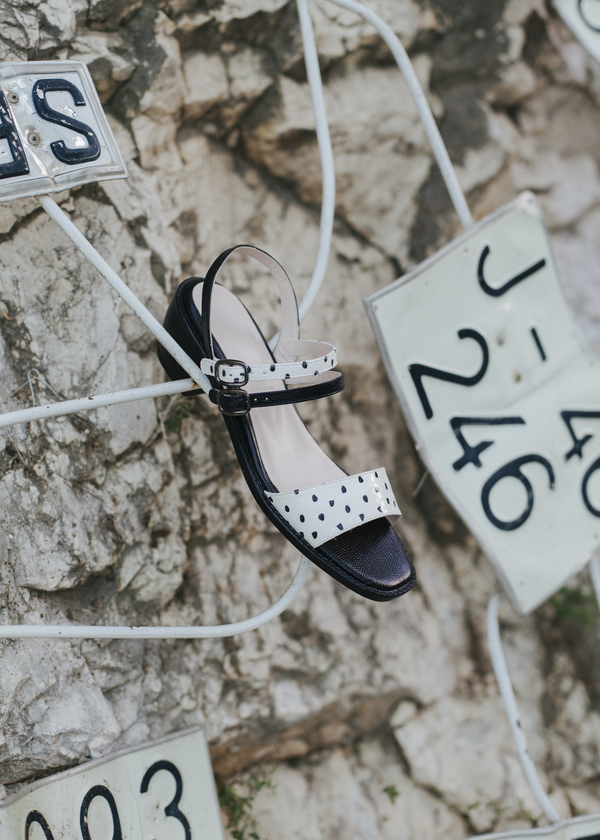 5yMedio Olivia Dalmatian 5yMedio Olivia Dalmatian