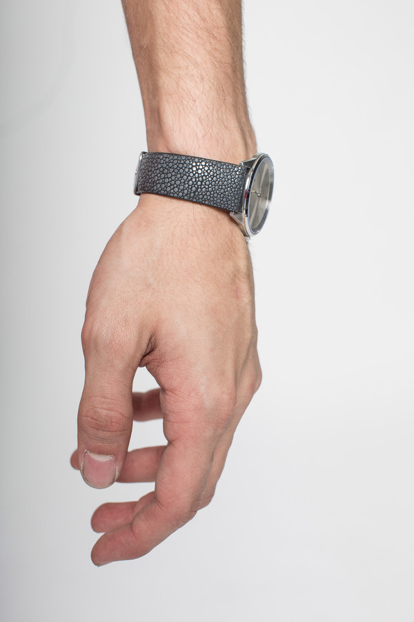Laval Stingray in Silver Laval Stingray in Silver