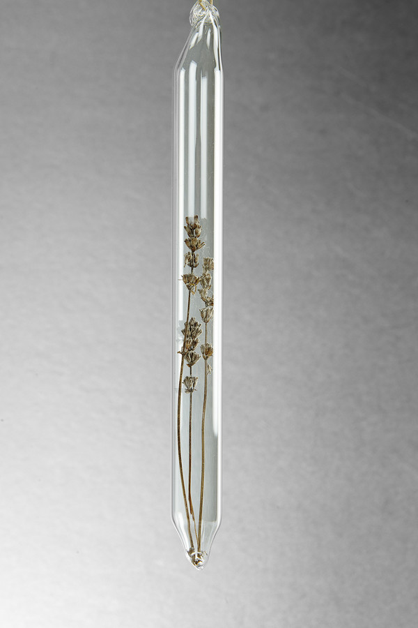 LBK Studio Encapsulation IX (Poppy) LBK Studio Encapsulation IX (Poppy)