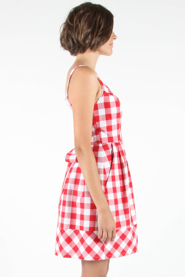 Birds of North America Firecrown Dress (Red) POP-UP SALE Birds of North America Firecrown Dress (Red) POP-UP SALE