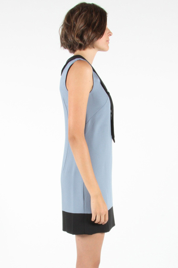 Birds of North America Gatherer Dress POP-UP SALE Birds of North America Gatherer Dress POP-UP SALE
