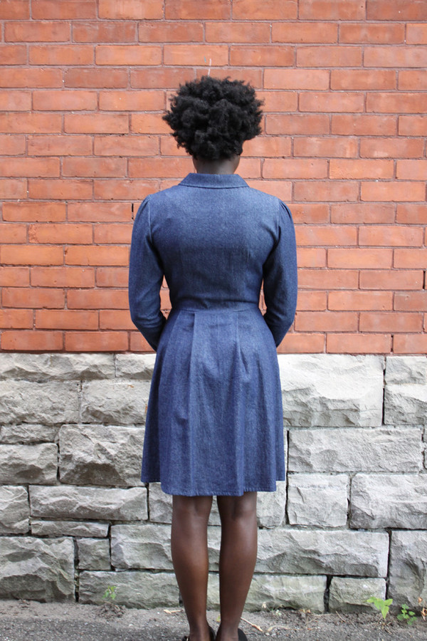 Birds of North America Hoatzin Dress (Dark Wash) POP-UP SALE Birds of North America Hoatzin Dress (Dark Wash) POP-UP SALE