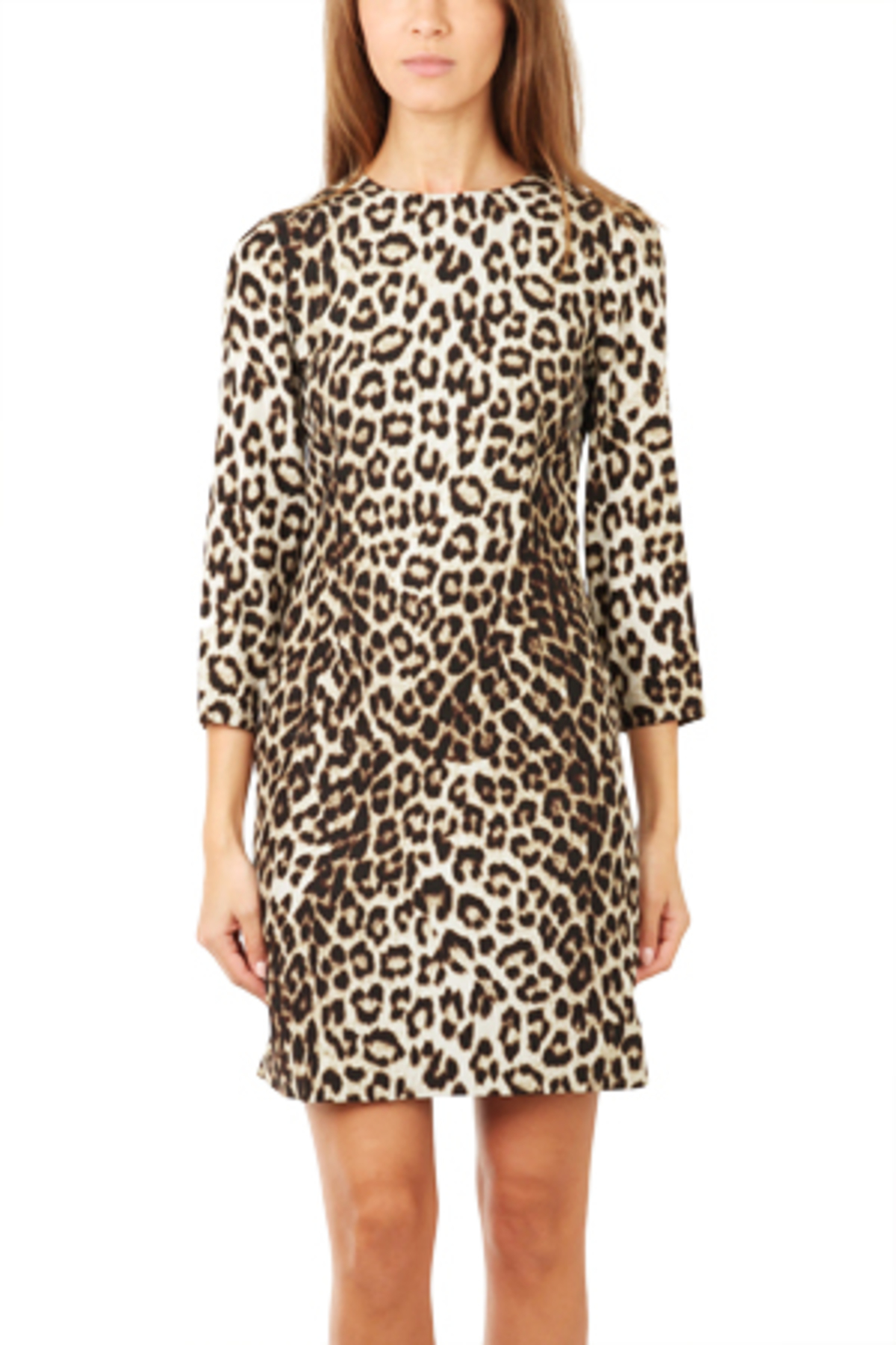 rag and bone leopard dress
