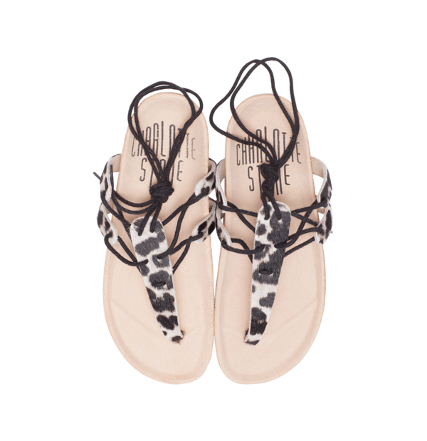 Charlotte Stone Jasper Charlotte Stone Jasper