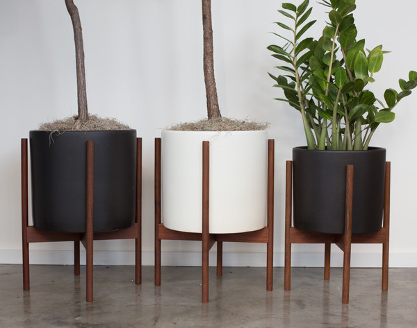 Modernica Case Study Cylinder Planter with Wood Stand Modernica Case Study Cylinder Planter with Wood Stand
