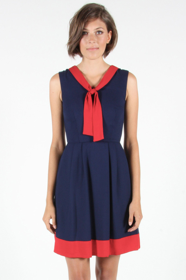 Birds of North America - Hillstar Dress Birds of North America - Hillstar Dress