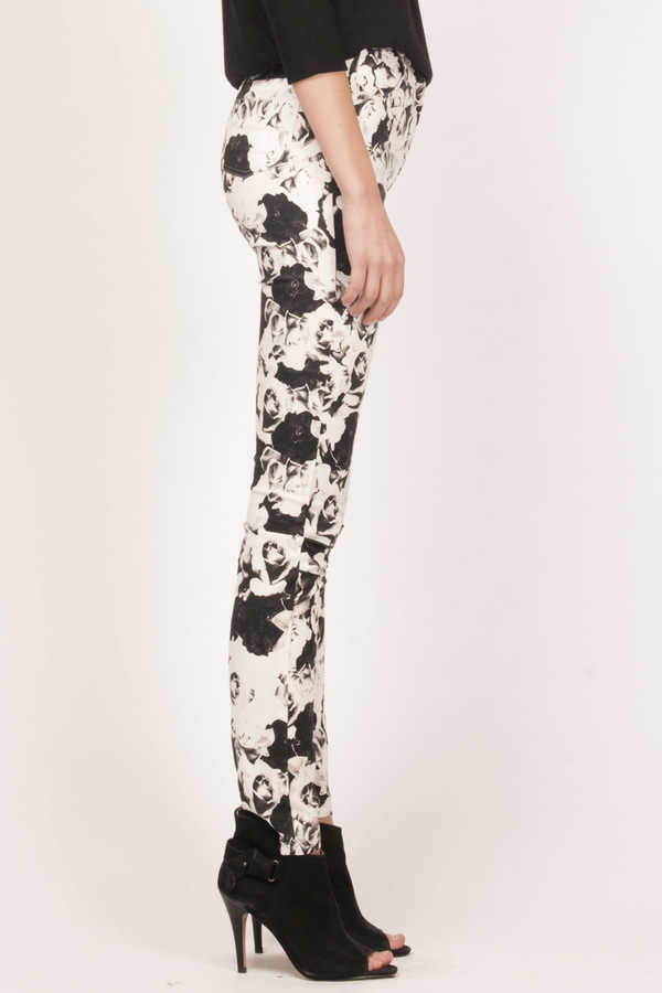 stewie pant stewie pant