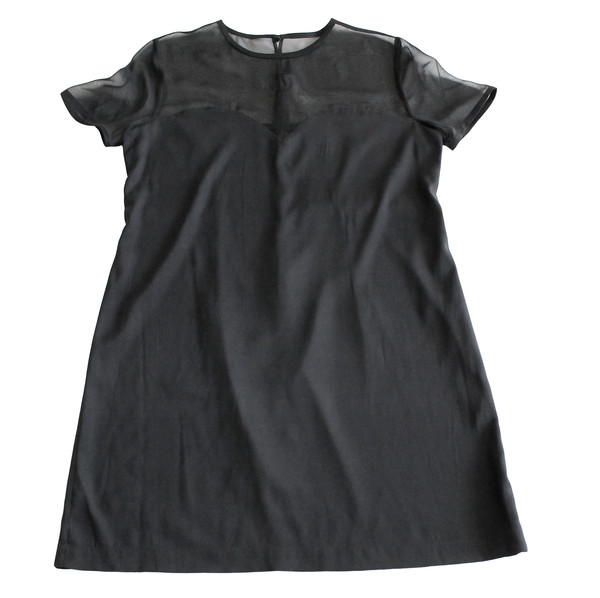 The Sheer Panel Dress The Sheer Panel Dress