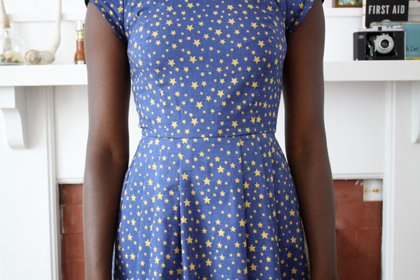 Birds of North America Macaw Dress Stars Print Birds of North America Macaw Dress Stars Print