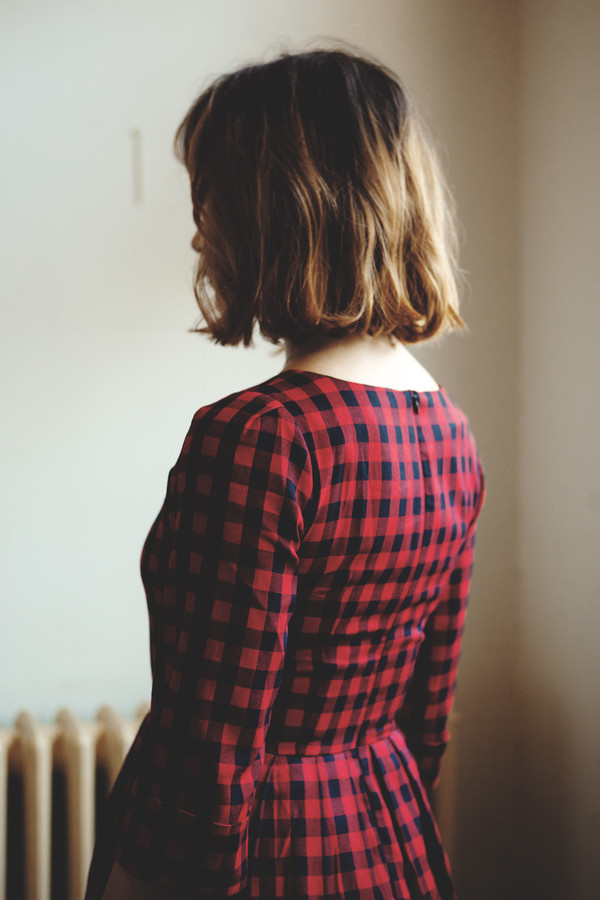 Birds of North America Wood Rail Dress (Buffalo Check) Birds of North America Wood Rail Dress (Buffalo Check)