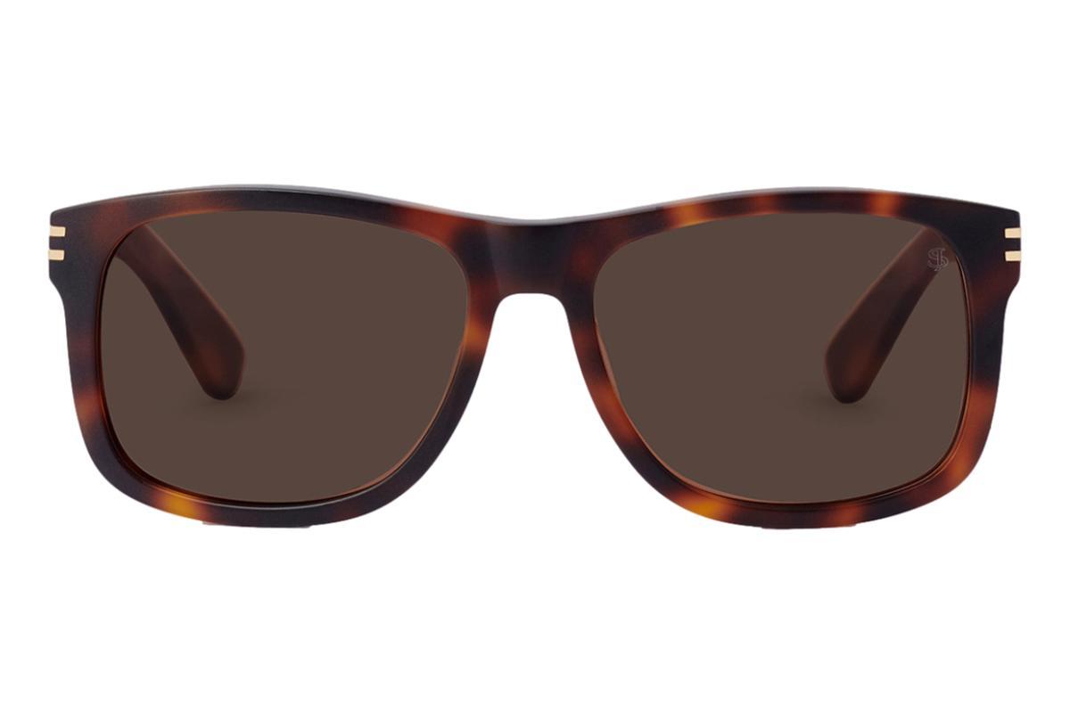 Jack Stegeman Bannister Sunglasses Tortoise Garmentory