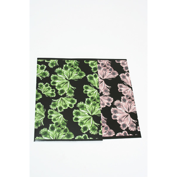 Ivana Helsinki Notebooks Ivana Helsinki Notebooks